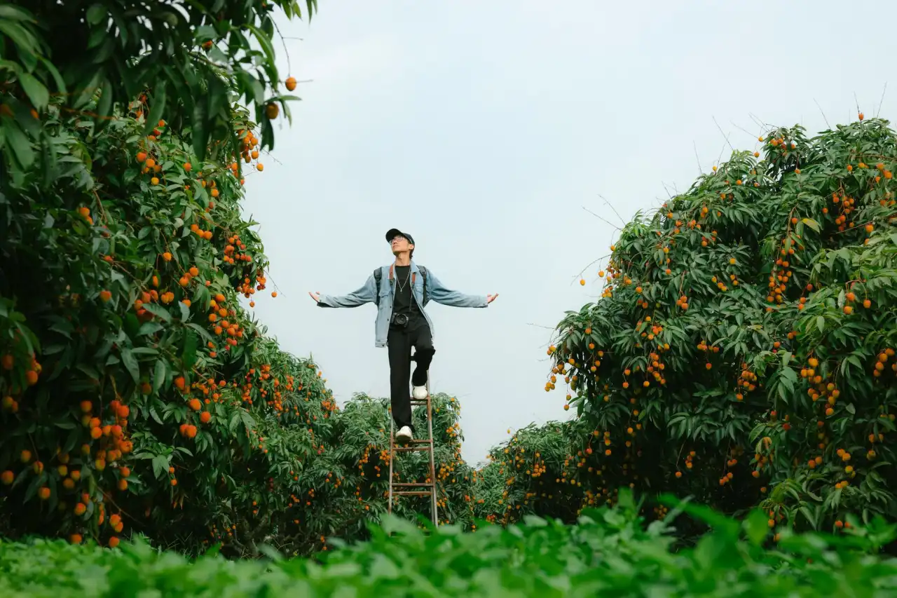 连锁餐饮食材配送方案：中央厨房净菜加工全流程解析