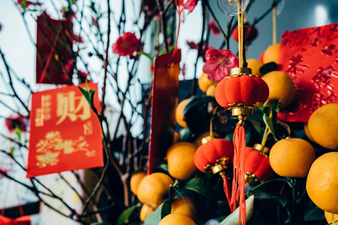 上海铭莜亘中央厨房净菜加工：标准流程与品控体系解析