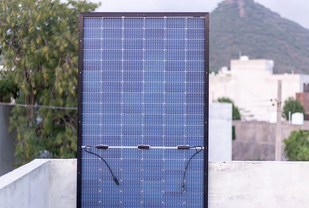 中央厨房净菜加工质量控制体系构建要点解析
