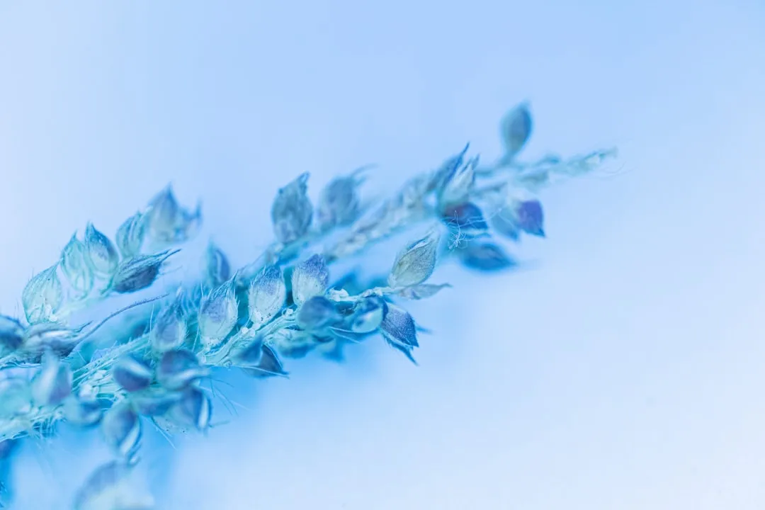 上海铭莜亘餐饮食材配送与净菜加工协同方案解析