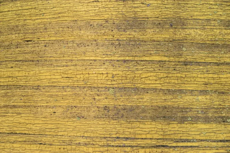 净菜加工中央厨房服务模式对比：上海铭莜亘如何降低连锁餐饮运营成本
